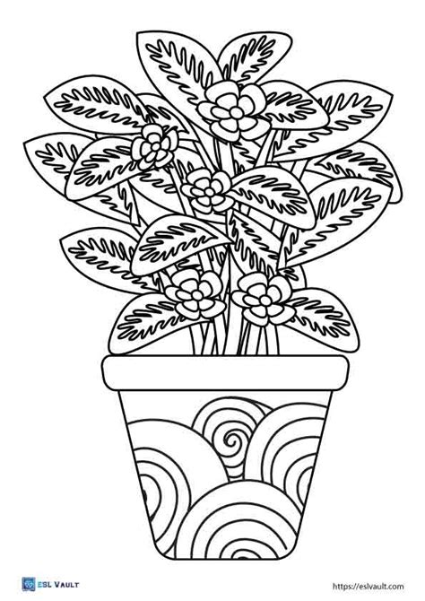 plant coloring pages