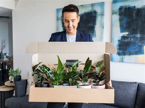 plant delivery