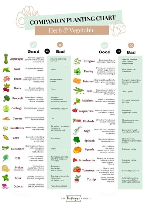 The Art and Science of Plant Pairing