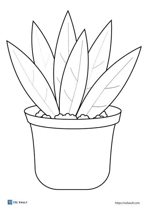 plant pictures to colour