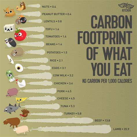 plant-based diet reduce ecological footprint