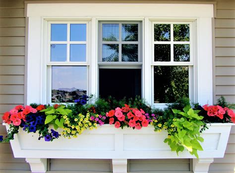 planter window box