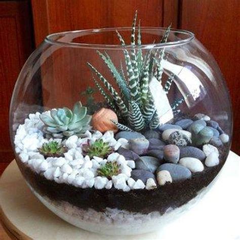 planting cactus in glass bowl