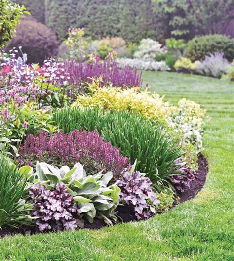 planting designs for borders