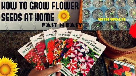 planting flower seeds