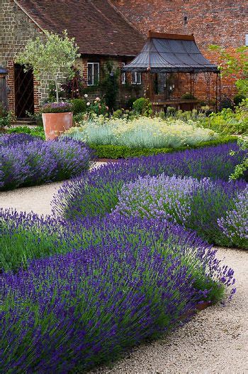 planting heather and lavender together