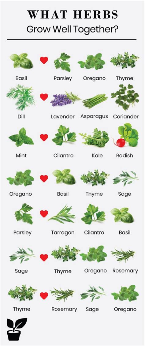 planting herbs together chart