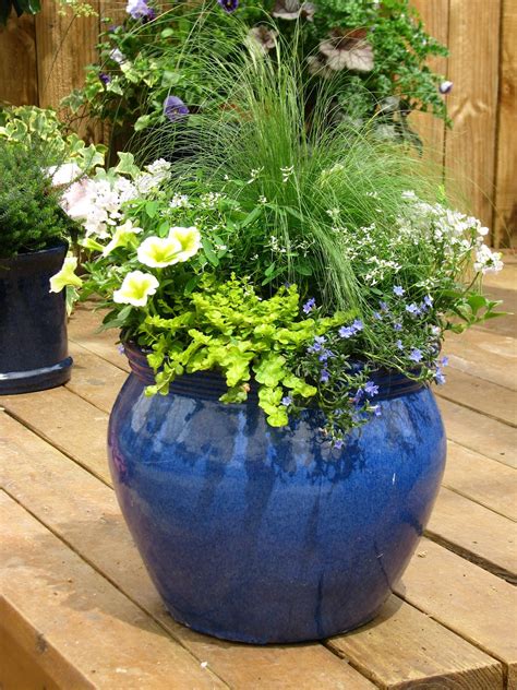 planting in containers