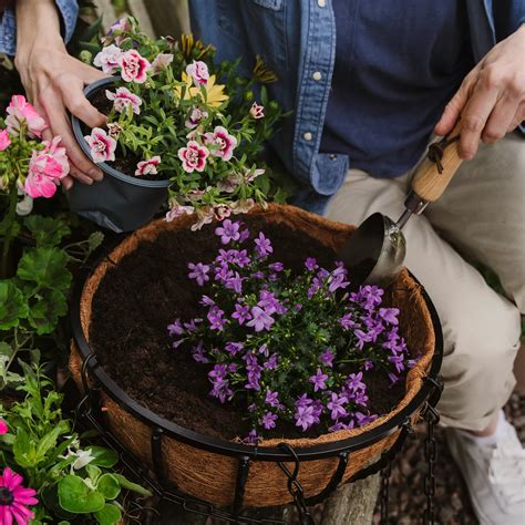 planting in old baskets