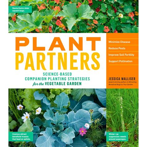 planting partners for vegetables