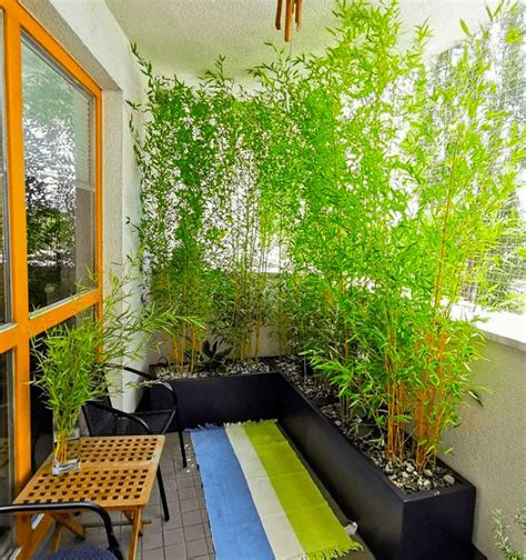 plants balcony privacy