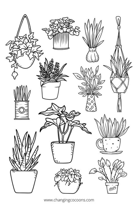 plants drawing and colouring