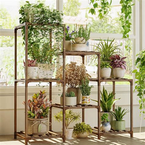 plants suitable for tall narrow pots