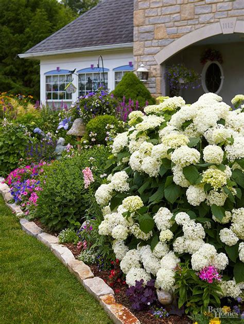 plants that pair well with hydrangeas
