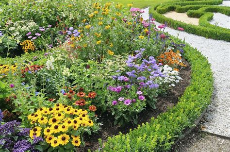 plants to plant together in garden