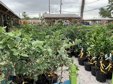 plantstock