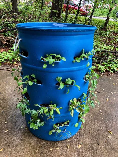 plastic barrel planter