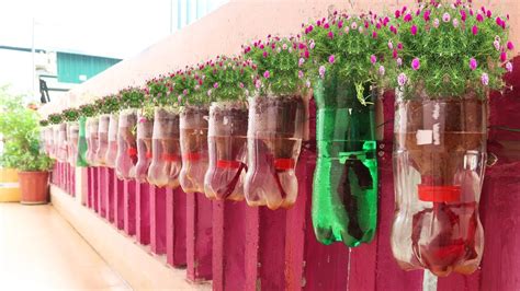plastic bottle garden
