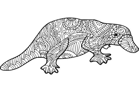 platypus coloring