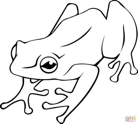 poison dart frog coloring pages