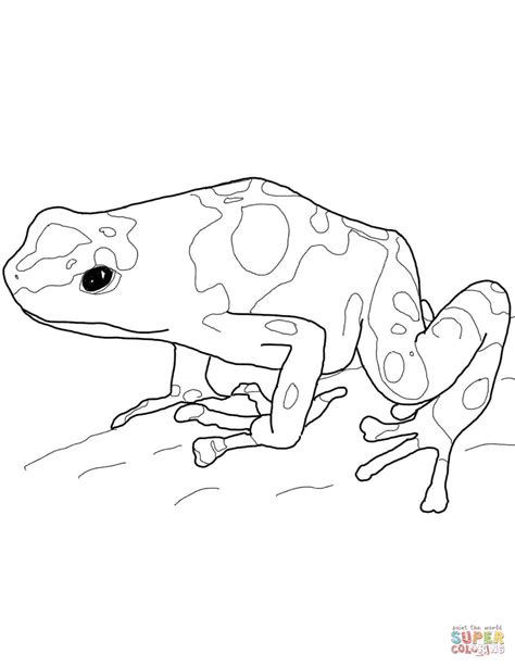 poison dart frog coloring pages