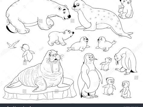 polar animals coloring pages