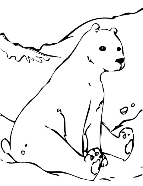 polar bear coloring