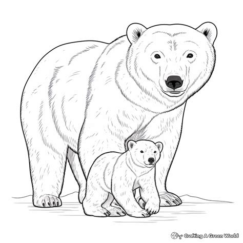 polar bear coloring sheet free