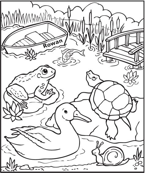 pond animals coloring pages