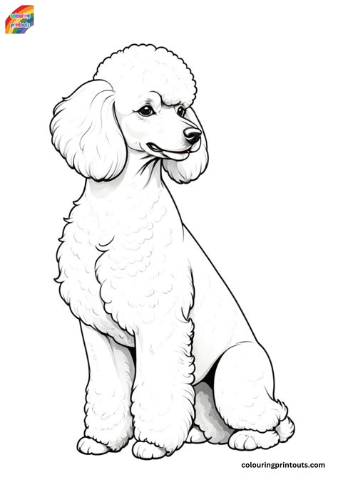 poodle coloring pages