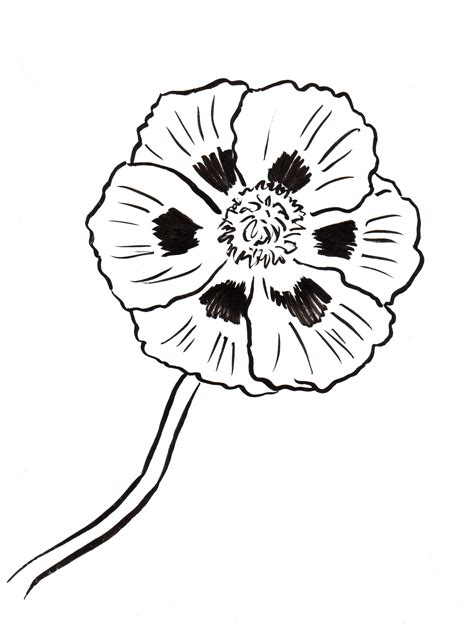poppy colouring in picture
