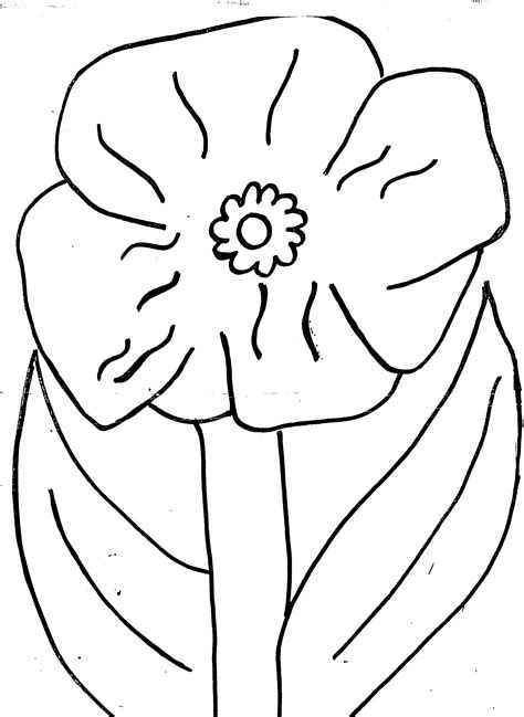 poppy colouring pictures
