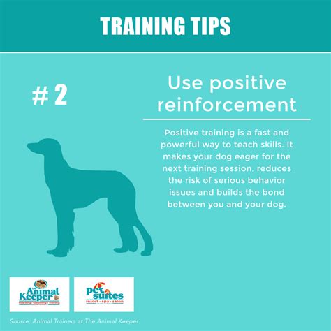 positive reinforcement in training