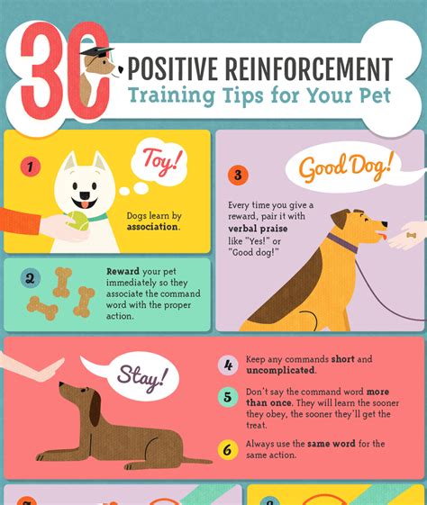 positive reinforcement tools for dogs