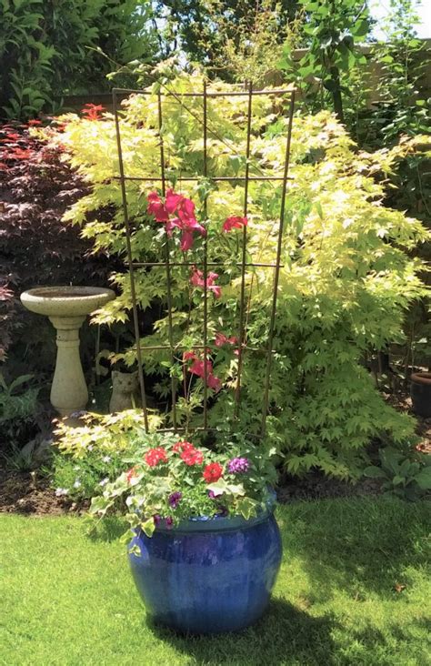 pot trellis