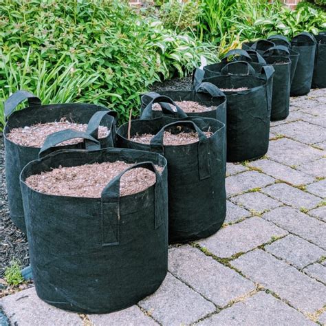 potting bags for plants