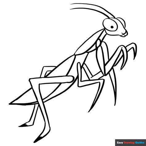 praying mantis coloring pages