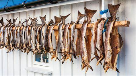 Preserving Your Catch