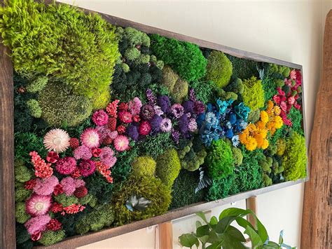 preserved moss art