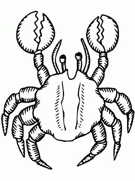 printable crab pictures