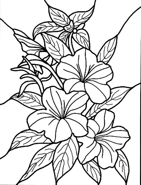 printable flower pages