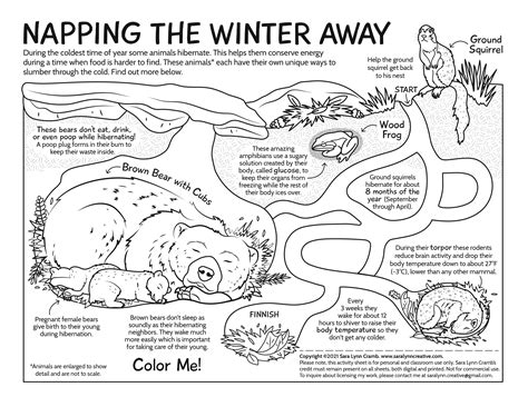 printable hibernation coloring pages