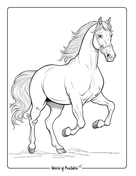 printable horse pictures to print