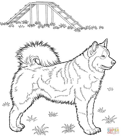 printable husky puppy coloring pages