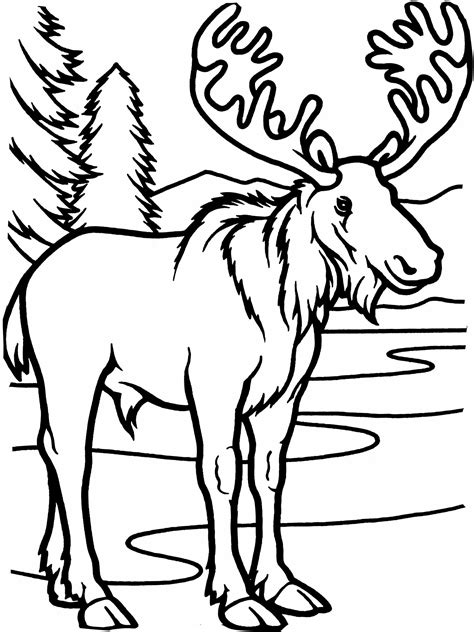 printable moose coloring pages