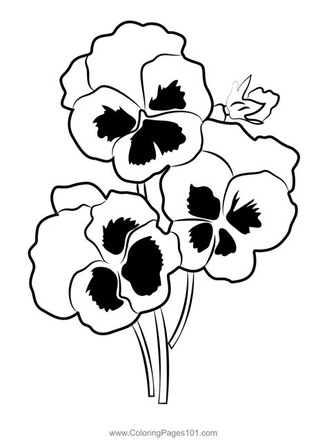 printable pansy coloring pages