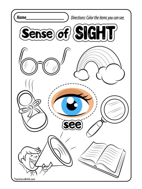 Printable Sense Of Sight Worksheet
