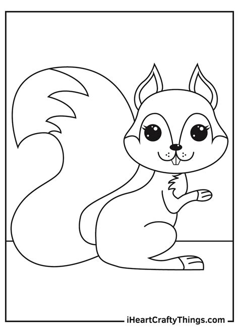 printable squirrel pictures