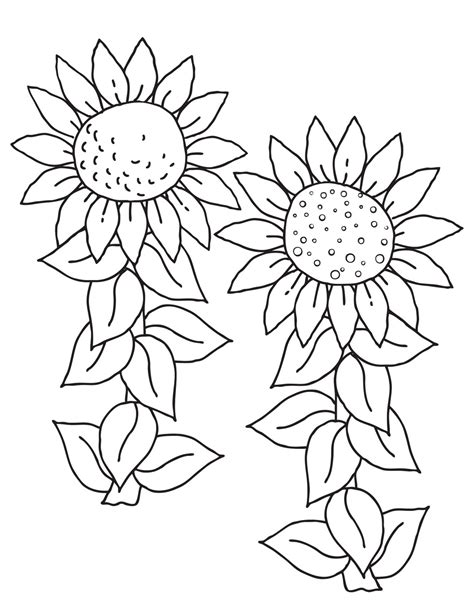 printable sunflowers to color