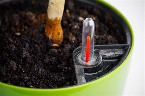 problems with self watering pots